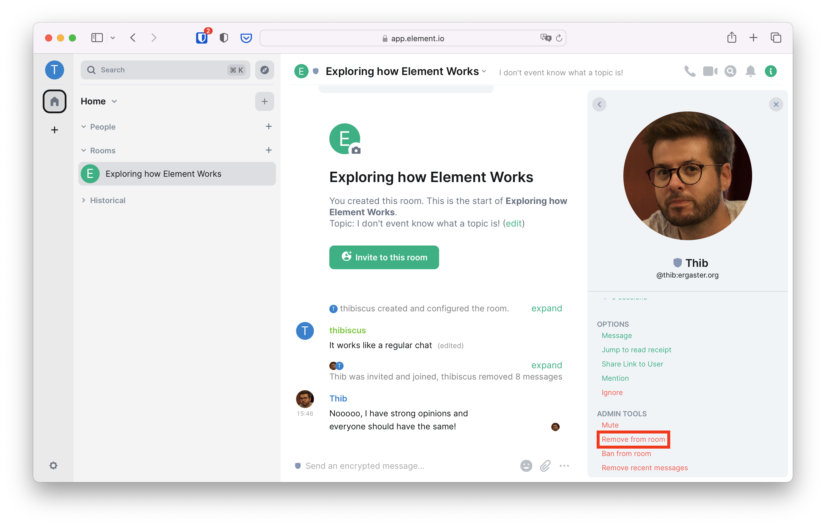 Element Web / Desktop screenshot 1